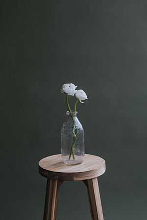 Coley & Co Photography