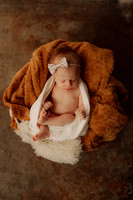 2024 Newborn | Coley & Co